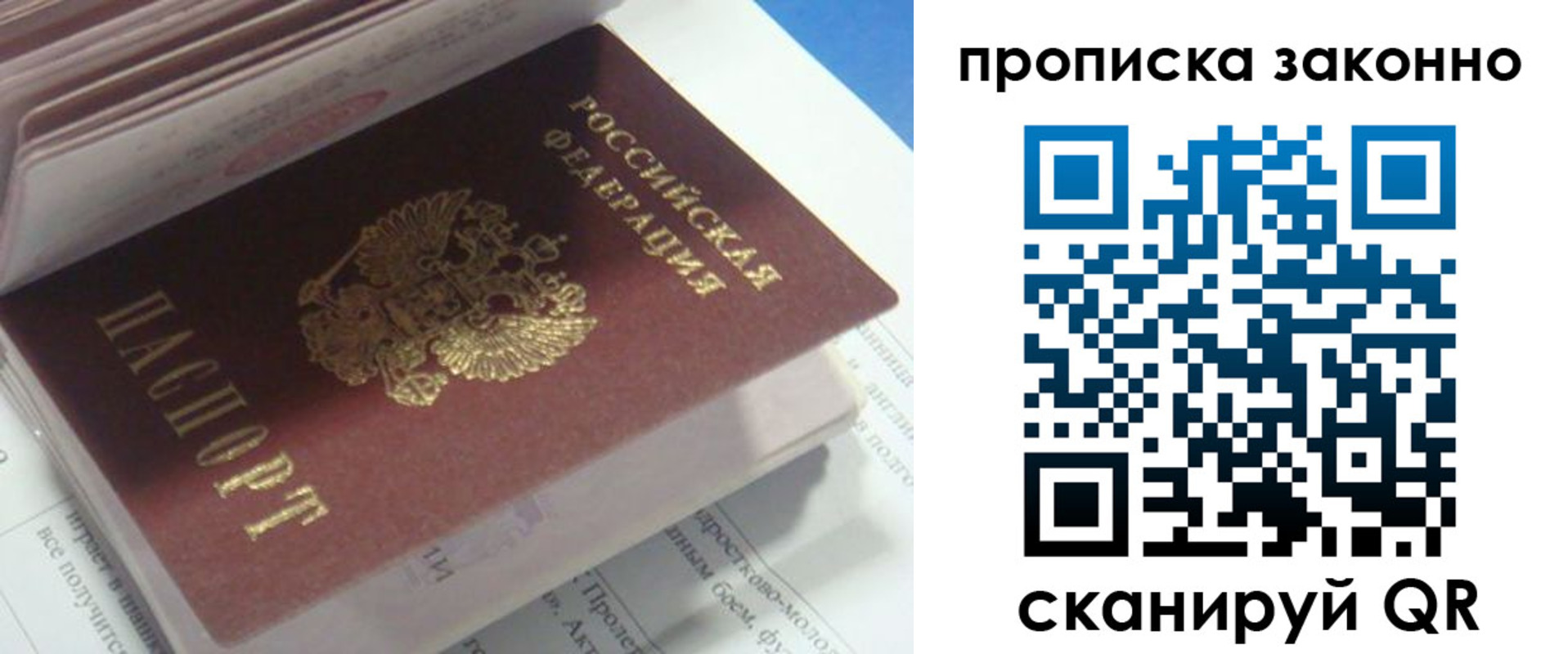 прописка гарантия в Нелидово